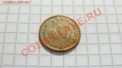 Хлебный (социальный) жетон Татарстана до 19.09. в 22:30 - DSC07489.JPG