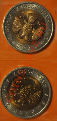 КРАСНАЯ КНИГА 1993 до 22.09.13 - DSC_09