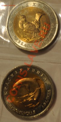 КРАСНАЯ КНИГА 1993 до 22.09.13 - DSC_010