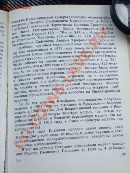 Колокольчик бр. Поповых - P1117143