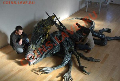 юмор - Xj5vfWKlrwU