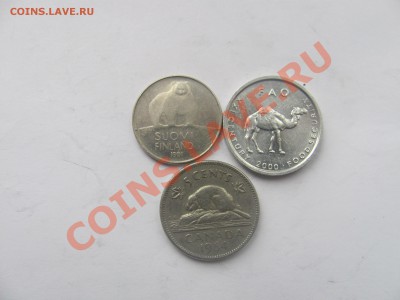 00 - веблюд.JPG