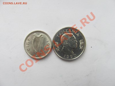 00 - заяц2.JPG