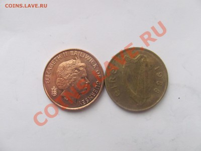 00 - корова2.JPG