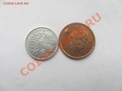 00 - лев.JPG