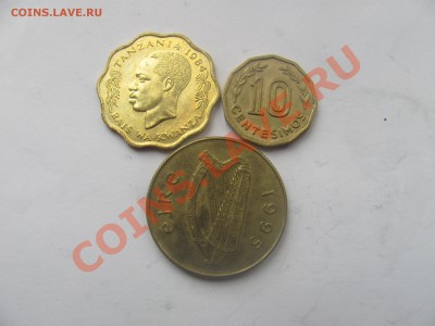 00 - лошади2.JPG