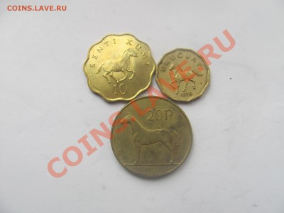 00 - лошади.JPG