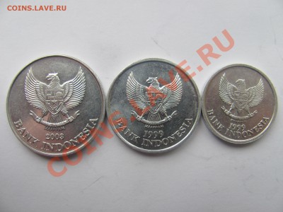 00 - пти3-2.JPG