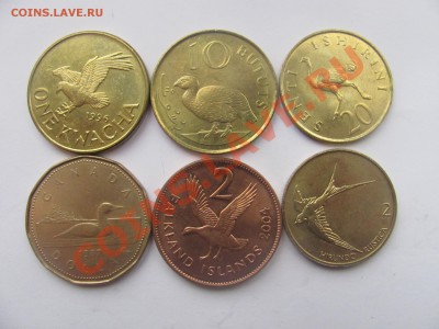 00 - птицы.JPG