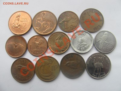 00 - птички.JPG