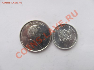 00 - слон2.JPG
