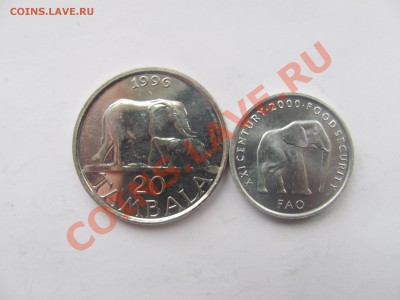 00 - слон.JPG