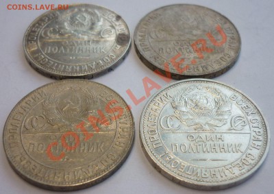 ПОЛТИННИКИ 1924-1925г. Очень неплохие! 8 шт. До 23.09.13 г. - Монеты 1259