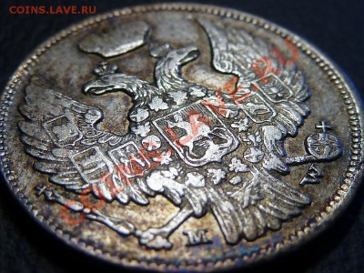 15 копеек 1 Zloty (злотый) 1838 MW патина - P1010791.JPG