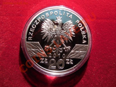 Польша 20 злотых 2010 Летучая мышь до 22.00 21.09.2013 - DSCN0951.JPG