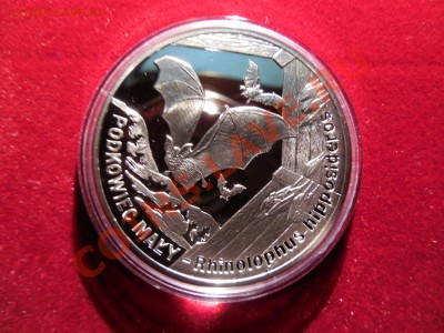 Польша 20 злотых 2010 Летучая мышь до 22.00 21.09.2013 - DSCN0950.JPG