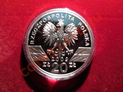 Польша 20 злотых 2009 Ящерица до 22.00 21.09.2013 - DSCN0953.JPG