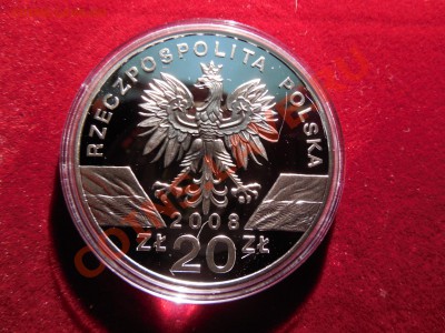 Польша 20 злотых 2008 Сапсан до 22.00 21.09.2013 - DSCN0955.JPG