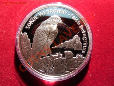 Польша 20 злотых 2008 Сапсан до 22.00 21.09.2013 - DSCN0954.JPG