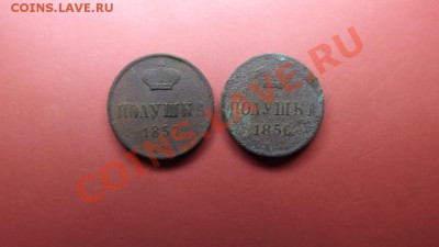 Полушки 1856 и 1857г - Изображение 4462