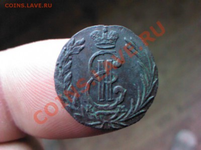 полушка Сибирь 1769 км  до 22.00   24 сентября - 1379585890087