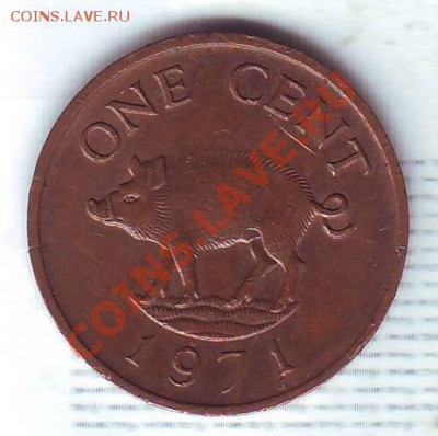 БЕРМУДЫ.ЦЕНТ.1971.СВИНЬЯ. до 25 Сентября - 19710009.JPG