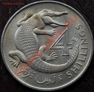 БРИТАНСКАЯ ГАМБИЯ - 4 шиллинга 1966 - до 25 сентября - 021