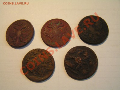 денга 1731, 39, 43, 48, 53 гг. до  22.00 22.09.13 - PICT0009.JPG
