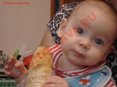 ФОТО - просто фото. Те что получились удачными. - DSC00826