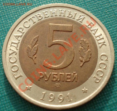 КК 1991 Козел и Филин до 22:00 23.09.13 - DSC04586.JPG