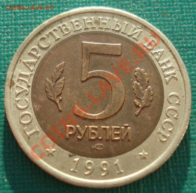 КК 1991 Козел и Филин до 22:00 23.09.13 - DSC04945.JPG