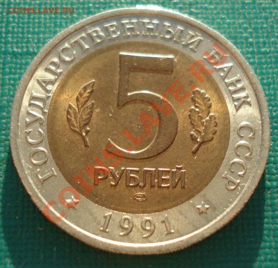 КК 1991 Козел аUNC до 22:00 23.09.13 - DSC05233.JPG