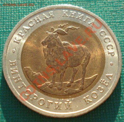 КК 1991 Козел аUNC до 22:00 23.09.13 - DSC05228.JPG