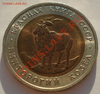 КК 1991 Козел аUNC до 22:00 23.09.13 - DSC05224.JPG