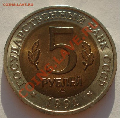 КК 1991 Козел аUNC до 22:00 23.09.13 - DSC05223.JPG