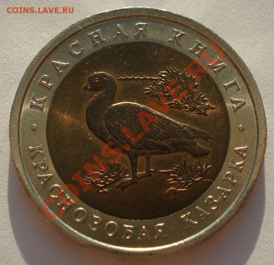 КК 1992 Казарка  аUNC до 22:00 23.09.13 - DSC05213.JPG