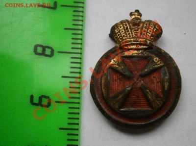 Аннинская клюква - P9210035.JPG