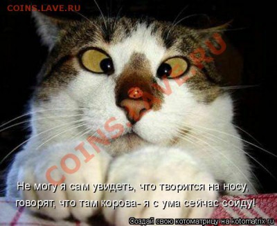 юмор - km_24_87