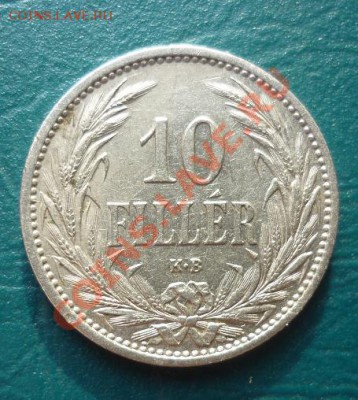 опознание 10 filler - опознание.JPG