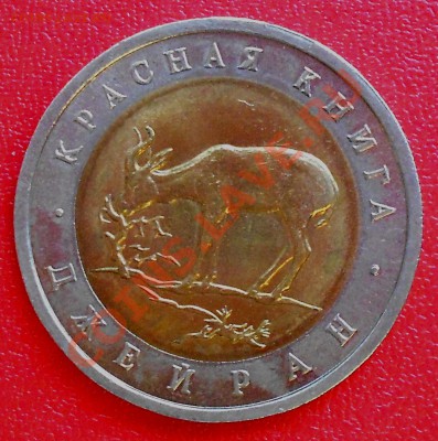 50 рублей  КРАСНАЯ КНИГА 1994 Джейран - Picture 013