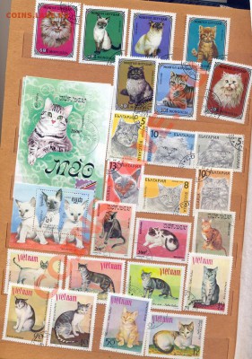 марки: кошки, собаки- 62шт - сканирование0004