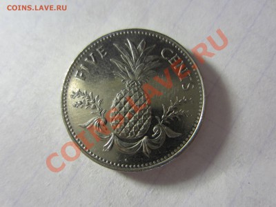 Багамы 5 центов 2000. - IMG_4827