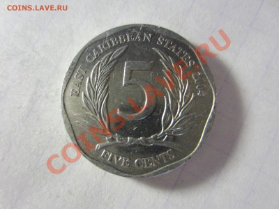 Карибы 5 центов 2004. - IMG_4839