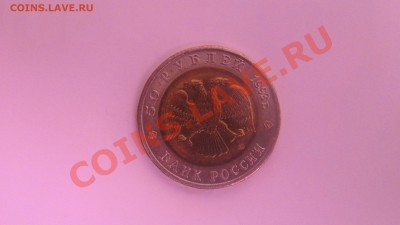 3 монеты из серии Красной Книги-1993 до 26.09 в 22-00 - тете.JPG