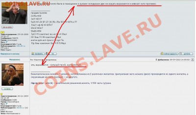 Три желтых квадрата. - ЖелтыеКвадраты 333.JPG