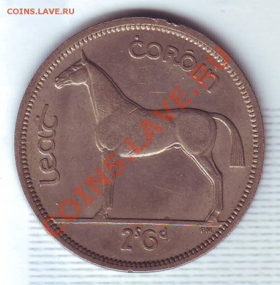 2 Кроны.1963.Лошадь. до 30 Сентября - 19630015.JPG