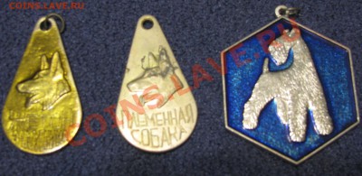 Значки разные, собачьи медали - IMG_13471