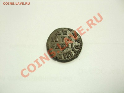денга 1713 - денга 1713 007