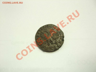 денга 1713 - денга 1713 008