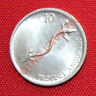 С 1 руб. СЛОВЕНИЯ 10 стотинов 1993г. САЛАМАНДРА до 1.10.13. - IMG_7826.JPG